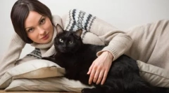 Dlaczego samotne kobiety hodowały koty