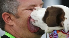 Dlaczego pies liże twarz i ręce właściciela?