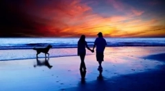 Dlaczego pies nazywa się najlepszym przyjacielem człowieka