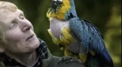 Wybór najstarszych zwierząt żyjących na ziemi