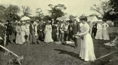 Brytyjskie i szkockie rasy kotów: wspólne cechy i różnice