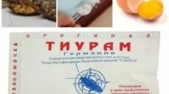 Proszek tyrów z karaluchów