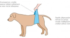 Utrata przytomności