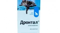 Zwiększona ślina kota: dlaczego powstaje i jakie środki