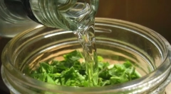 Zasady stosowania białą i skalarną piormwood