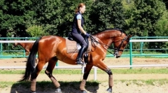 Instrukcje bezpieczeństwa jazdy