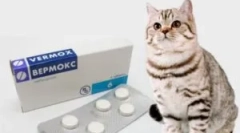 Przygotowanie z pasożytów vermoks: instrukcje użytkowania dla dzieci