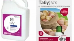 Przygotowanie tabu i instrukcje dotyczące jego użycia