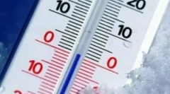 W jakiej temperaturze umierają pchły?