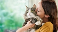 Przyczyny alergii na kotach