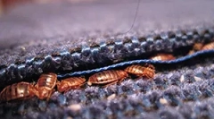 Powody, dla których przychodzą błędy