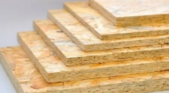 Powoduje, dlaczego karaluchy zniknęły