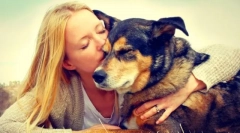 Schronisko dla psów w moskwie i moskwie. Daj swojemu życiu przyjacielowi