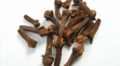 Zastosowanie goździków z pasożytów