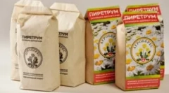 Wykorzystanie pyrethrum do zniszczenia owadów