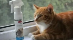 Wykorzystanie fleech i roztoczy