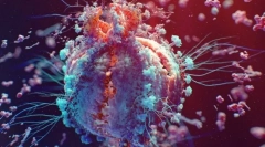 Oznaki żywych istot