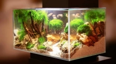 Problemy w akwarium i ich eliminacji