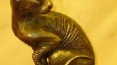 Pochodzenie kota domowego