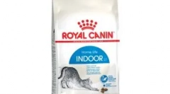 Proste koty bezręczne: dlaczego tak bardzo je kochamy