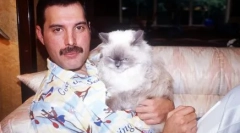 Puszyste muzie: fakty dotyczące kotów znanych ludzi