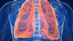 Rozwój pasożytów w płucach ludzkich: objawy i diagnostyka