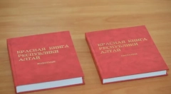 Rzadkie zwierzęta eurazja