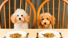 Ocena kanału spustowego: wybór paszy dla dużych i małych skał