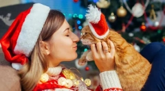 Szczęśliwego nowego roku, kot! 14 noworocznych pomysłów na koty