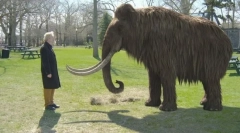 Witaj z powrotem: 10 wymarłych zwierząt, które mogą wkrótce wrócić