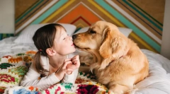 Najbardziej czułe rasy psów na świecie