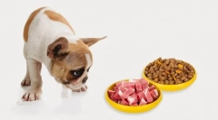 Najpopularniejsza żywność dla psa 2019 - pedigri: collerage of makeup and review