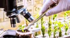 Wybór, jego zadania, metody i znaczenie praktyczne