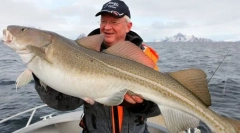 Północna ryba rybacka