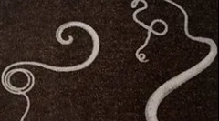 Objawy i leczenie zakażenia z mocą