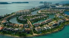 Singapur: cechy rasy i zasady treści