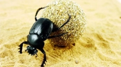 Złomowanie świętego