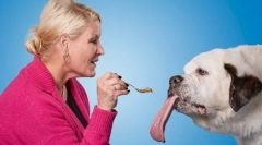 Pies z najdłuższym językiem na świecie