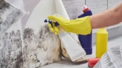 Narzędzia do usuwania formy (grzyb pleśni)