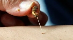 Fundusze z gry w wielkiej brytanii