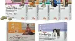 Tabletki pocieszenia dla kotów i psów