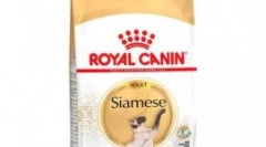 Taurine dla kotów: co jest przydatne, w jakim karmieniu i produktach zawierają