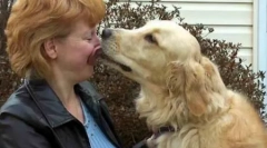 10 Najczęściej dzielnych zwierząt