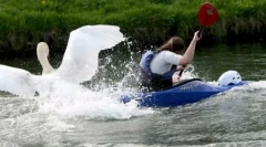 Top 10: szokujące zwierzęta