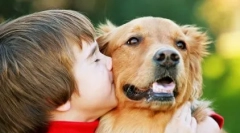 Najlepsze 10 rzeczy, które nienawidzą psów