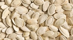 10 Najlepszych zwierząt, które boją się kobiet