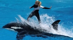 6 Najlepszych osób, którzy są okrutnie zabiciami przez zwierzęta, które uwielbiają