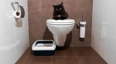 Cat toalety zamknięte: wybierz komfort dla zwierząt i czyszczenia do domu