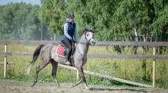 Lekcje jazdy konnej dla początkujących