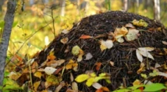 Urządzenie i rolnictwo